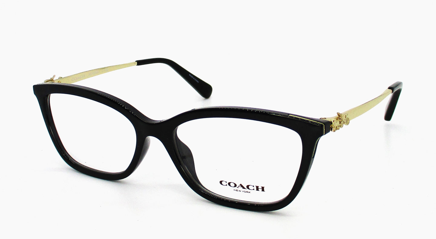 Coach 0HC6146U 5002 53x16-140